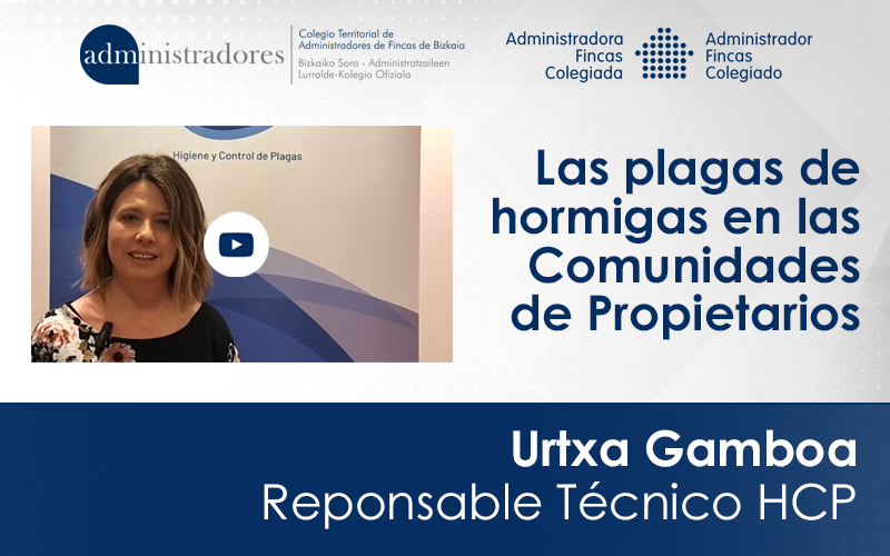 Urtxa Gamboa, Responsable Técnico de HCP nos habla de las plagas de hormigas en las comunidades de propietario