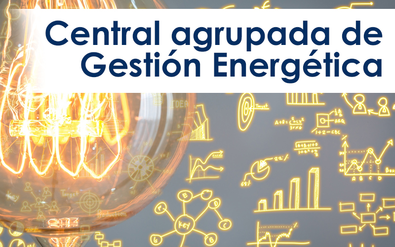 Central agrupada de Gestión Energética, el nuevo servicio de CAFBIZKAIA